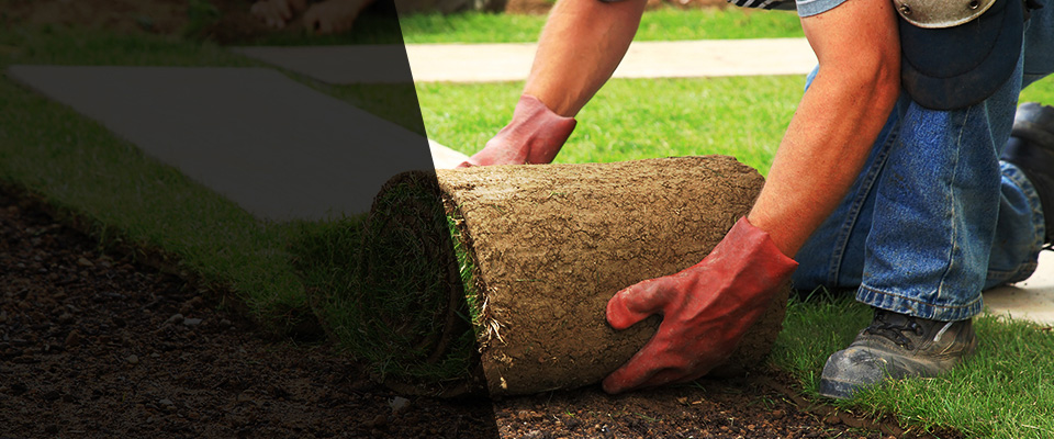 Osseo Landscapers